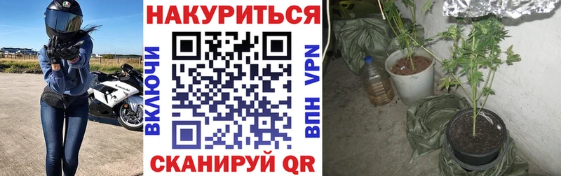 Канабис MAZAR  Далматово 